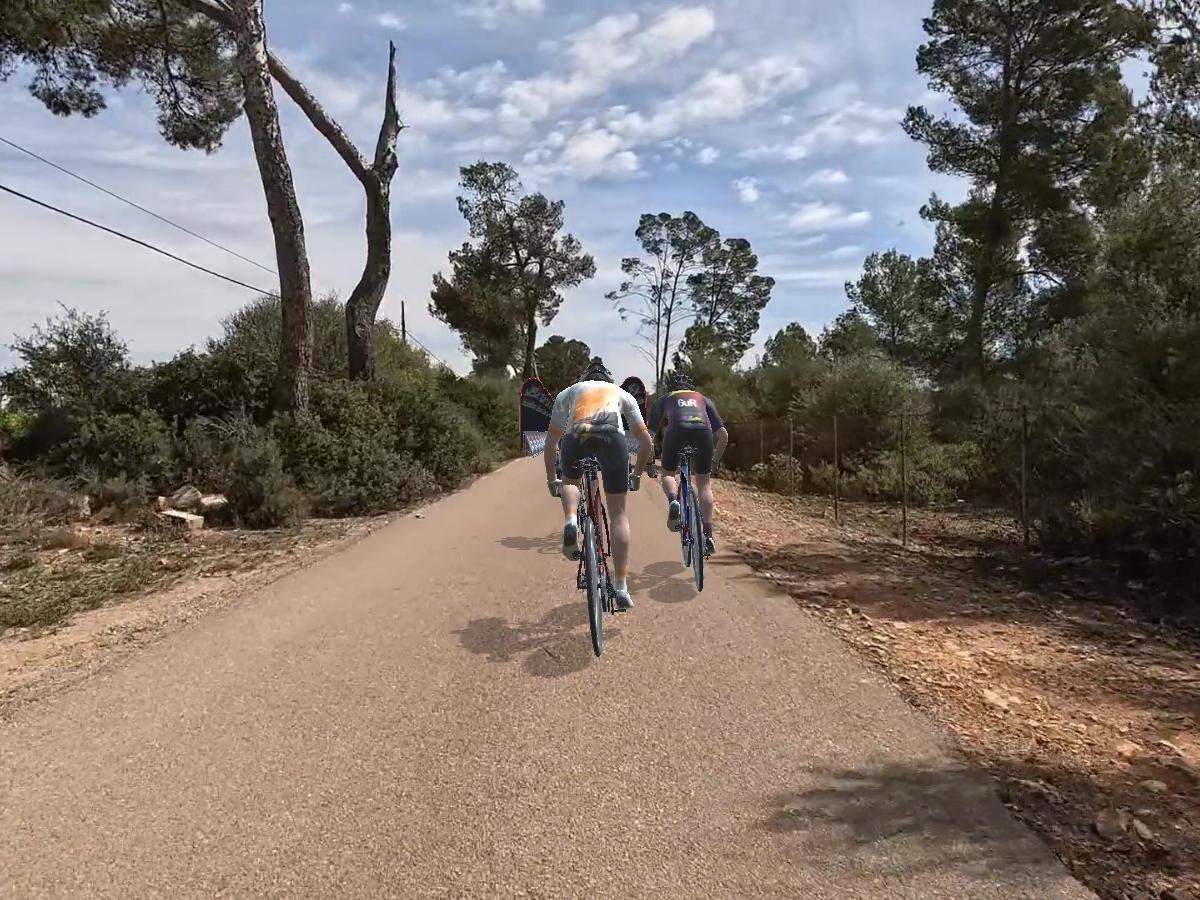 Petra to Playa de Muro |&nbsp;Mallorca